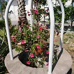 Ciro Bed and breakfast Pompeya