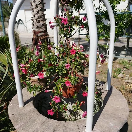 Ciro Alojamento de Acomodação e Pequeno-almoço Pompeia