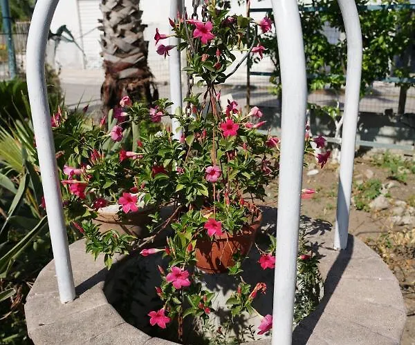 Ciro Couette-café Pompéi