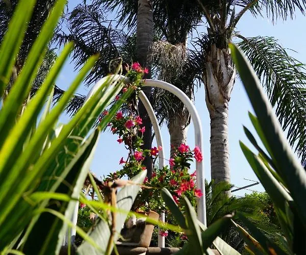 Couette-café Ciro 3*